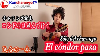 【チャランゴ独奏】コンドルは飛んで行く / El cóndor pasa