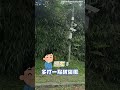 狗狗們！起床重睡 shorts