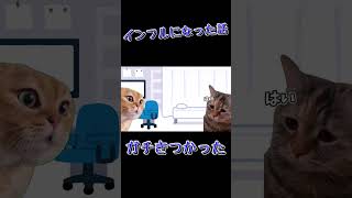 インフルでクソきつかった話　【猫ミーム】　#猫ミーム　#shorts