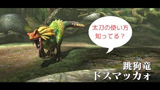 【MHXX Switch】操作曖昧なハンターVSドスマッカォ #2