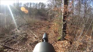 Driven hunting - Shooting a Sick roe deer with my blaser r8 in 308.