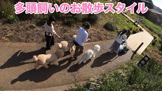 多頭飼いのお散歩スタイル！GoPro MAXを持ってお出かけ！