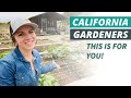 5 Must-Have Tips for California Vegetable Gardeners in Zone 9!