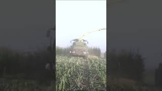 Effortless Field Brilliance: John Deere Corn Chopper in Motion