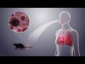 Hantavirus: What You Need to Know (Featuring Marion Koopmans)