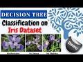 Demo on Decision Tree Classification using Iris Dataset | Tutorial Using Decision Tree |AI with AI |