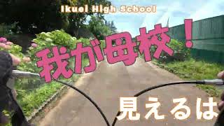 還暦メタボの外遊び　利根川サイクリングロード（南部大橋から）