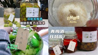 【自制青梅酒做法合集】自制不苦涩的青梅酒，只需简单4步，配方、诀窍都教你，超实用