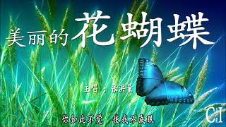 美丽的花蝴蝶~张洪量『你像只蝴蝶在天上飞，飞来飞去飞不到我身边』【动态歌词】Butterfly Beautiful by Jeremy #Chang