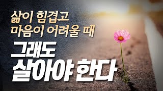 삶이 힘겹고 마음이 어려울 때[설교말씀] 손계문 목사