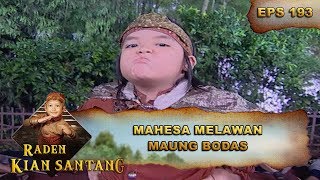 Mahesa Ingin Bertarung Dengan Maung Bodas  - Raden Kian Santang Eps 193 Part 1