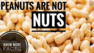 Facts About Peanuts You Must Know