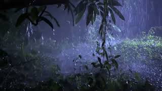 Go to Sleep with Thunder & Rain Sounds  Relaxing Sounds for Insomnia Symptoms & Sleeping Disorders