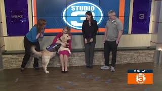 'Bear' the therapy dog at HEMS