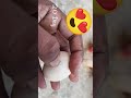 egg candling chicken embryo development shorts