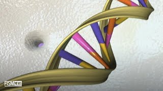 Scientists Publish the First Complete Human Genome