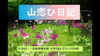 日光千手ｹ浜P.042日光中禅寺湖　千手ｹ浜とクリンソウの抄