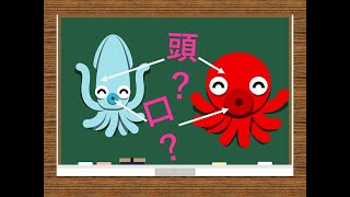 【学問編】意外と知らない！イカ、タコの体のつくり