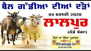 🔴[Live] Lalpur (Banga) Ox Races 04 Feb 2020