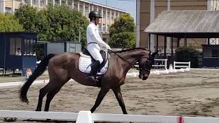 DRESSAGE IN SUZUKA (Spring) ３課目Ａ（公認）