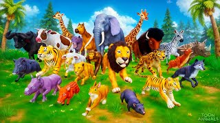 The INSANE Jungle Animal Race that Will Leave You SPEECHLESS | Funny Animals