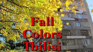 Fall colors in Tbilisi, Georgia შემოდგომის ფერები თბილისში