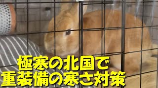 極寒の北国でウサギを飼うなら重装備の寒さ対策が必要です。　(No,507)