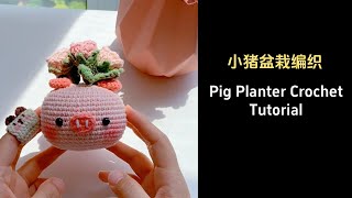 小猪盆栽钩织教程|Pig Planter Crochet Tutorial #crochet #crochettutorial #craft #crochetpattern