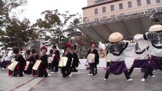 水戸藩YOSAKOI連　ちばYOSAKOI2011 中央公園会場