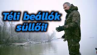 Téli beállók süllői.