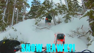 Can a Timbersled hang with a Snow Hawk!?