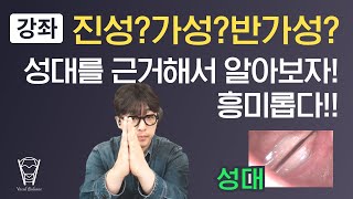 [보컬밸런스] 진성?가성?반가성? 의 차이? 성대를 근거해서 알아보자! 흥미롭습니다!