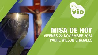 Misa de hoy ⛪ Viernes 22 Noviembre de 2024, Padre Wilson Grajales #TeleVID #MisaDeHoy #Misa