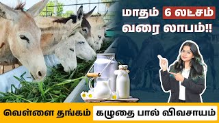 Donkey Milk Farming In Tamil - Earn Rs.7000 For 1Litre Of Donkey Milk | Donkey Milk Business