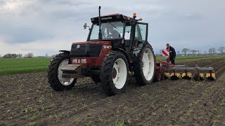 HENGERS.NL Steketee EC steer 7 stuurframe met Breviglieri rijenfrees in valeriaan