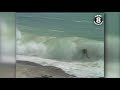 whompers catching beach breaks at windansea beach la jolla in 1978