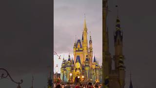 What Happens During A Hurricane At Disney?!🌪️❌