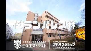 【八王子市東浅川町　賃貸マンション】グランパレス林　３ＬＤＫ　室内動画　アパマンショップ　エスエストラスト