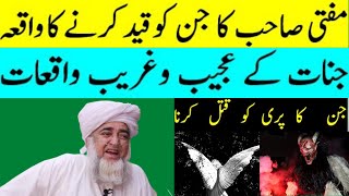 Mufti zarwali Khan Sahab vs Jinnat  | Jinnat ki Dunya | Jinnat ki Haqeeqat | Pari