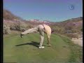 fred couples playing lessons