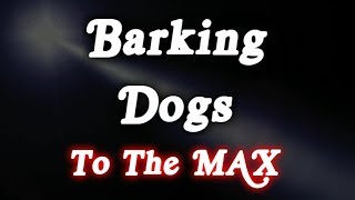 ▶️ Barking Dogs To The Max! Barking Dogs Sounds. Dogs Barking Noises. 12 Hours. 🌏