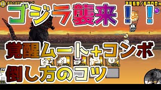 【初級・中級者】ゴジラ襲来！エクスプレス/超特急なしで安定して倒すコツと編成紹介【🐈にゃんこ大戦争】【🐈The Battle Cats】