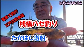 電車で釣行 桟橋ハゼ釣り 江戸川放水路 たかはし遊船