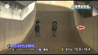 【2012 JRAブリーズアップセール】41 フェリストウショウの2010(3/21)