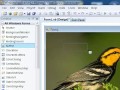Vb.net messagebox tutorials