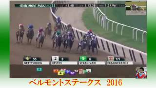 2016　ベルモントステークス　1着クリエイター　ラニ3着