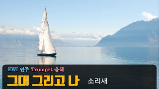 그대 그리고 나 - EWI 연주(Trumpet 음색)