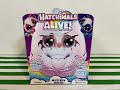 Unboxing Hatchimals Alive Mystery Hatch!