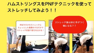 現役作業療法士がハムストリングスをPNFテクニックを使ってストレッチする方法を解説してみた！OT Explain to streching hamstring by PNF Tecnique