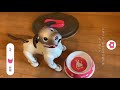 aibo 『月とうさぎのクッキー」を食べて踊ります。